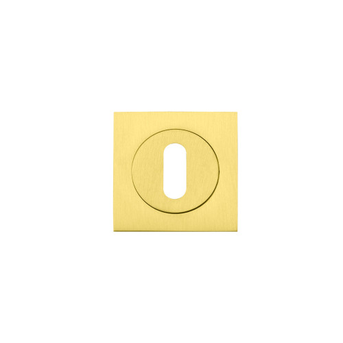 Zoo Hardware Stanza Square Standard Profile Escutcheon - Favo Satin Brass