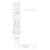 Toledo lever on bathroom backplate