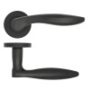 Cadiz lever on rose