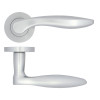 Cadiz lever on rose