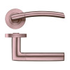 Olympus lever on round rose
