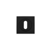 Square standard profile escutcheon