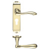 Project Arundel lever on euro backplate - 175mm x 42mm