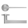 Zoo Hardware Gio Lever On Round Rose