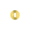 Standard Profile Escutcheon