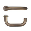 Zoo Hardware Maggiore Lever on Round Mini Rose