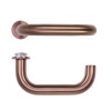 Zoo Hardware Maggiore Lever on Round Mini Rose