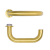 Zoo Hardware Maggiore Lever on Round Mini Rose