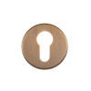 Euro Profile Escutcheon - 52mm Dia - Grade 201