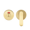 Accessible Peanut Turn and Release with Indicator complete with Escutcheons & 5mm Spindle - Grade 201 - PVD Satin Brass