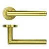 19mm Mitred Lever on Round Rose - PVD Satin Brass - 52mm x 8mm Push-on Rose - BS EN 1906 Grade 3 - Grade 201 SS
