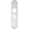 Radius Cover plate for 19 mm and 22mm RTD Lever on Backplate - Oval Profile 48.5mm