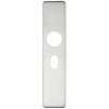 Cover plate for 19 mm and 22mm RTD Lever on Backplate - Oval Profile 48.5mm