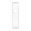 Cover plate for 19 mm RTD Lever on Short Backplate - Euro Profile 47.5mm - 45mm x180mm PSS