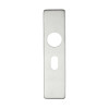Cover plate for 19 mm RTD Lever on Short Backplate - Oval Profile 48.5mm - 45mm x 180mm