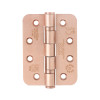 Grade 13 Ball Bearing Hinge - SS201 - Radius - CF849