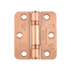Grade 11 Ball Bearing Hinge Stainless Steel Radius - Grade 201 -76 x 67 x 2.5mm