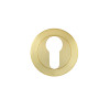 Escutcheon euro profile