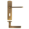 Leon lever on lock backplate
