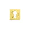 Square euro profile escutcheon