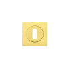 Zoo Hardware Stanza Square Standard Profile Escutcheon - Favo Satin Brass
